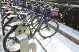 Wavelo tańsze dla posiadaczy Krakowskiej Karty Rodzinnej