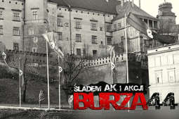 Szlakiem AK i Akcji „Burza”