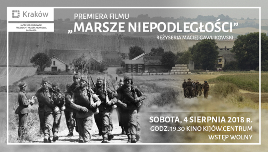 Marsze niepodległości - banner