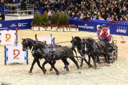Wielkie jeździeckie show w Krakowie