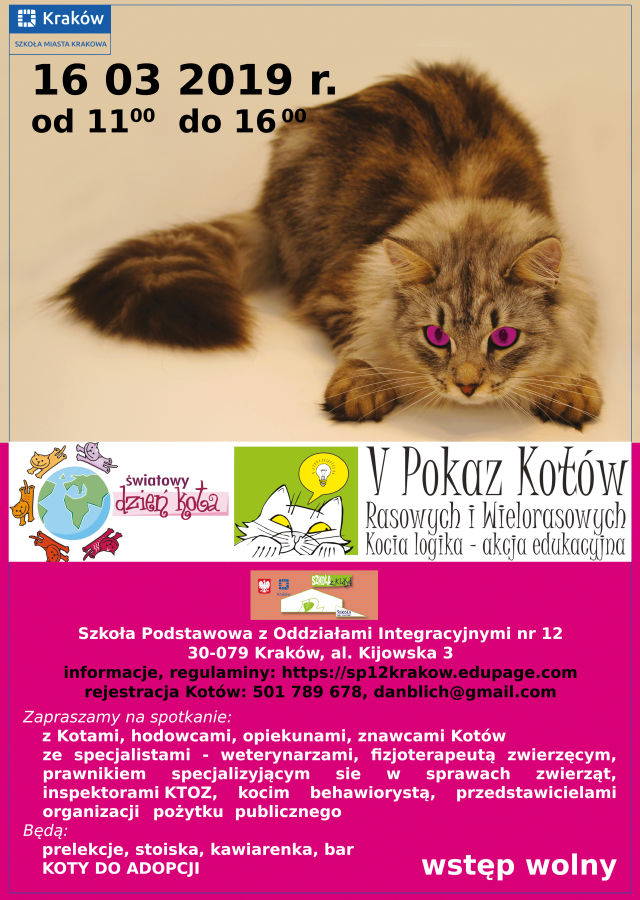 Pokaz Kotów Rasowych i Wielorasowych