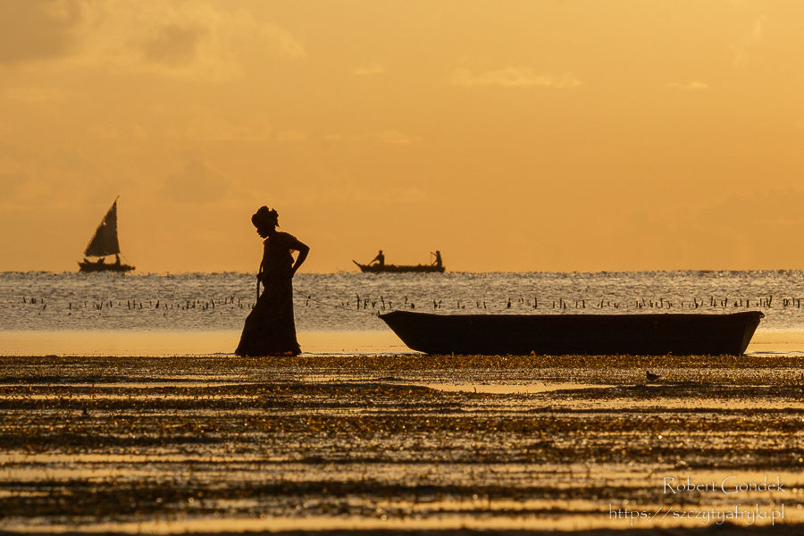 navigator - afryka -fot. gondek_img_3692.jpg