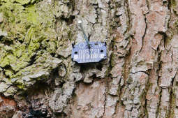 Arbotagi, czyli karty zdrowia krakowskich drzew