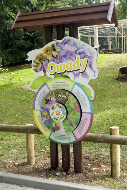 Zagrożony Świat Owadów