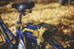 Na czas Wszystkich Świętych Wavelo ułatwia dojazd do cmentarzy 