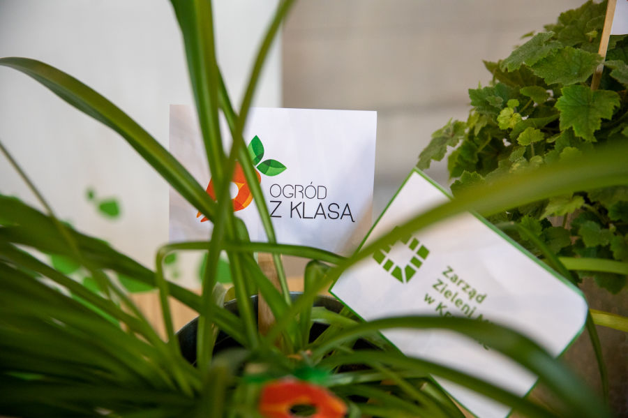 Szkolny „ogród z klasą” – bo drobna uprawa to wielka sprawa