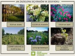 Kraków coraz bardziej zielony