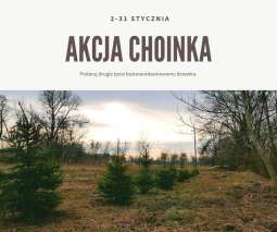 Do piątku trwa „Akcja Choinka”