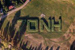 Tak świętowaliśmy 70-lecie Nowej Huty