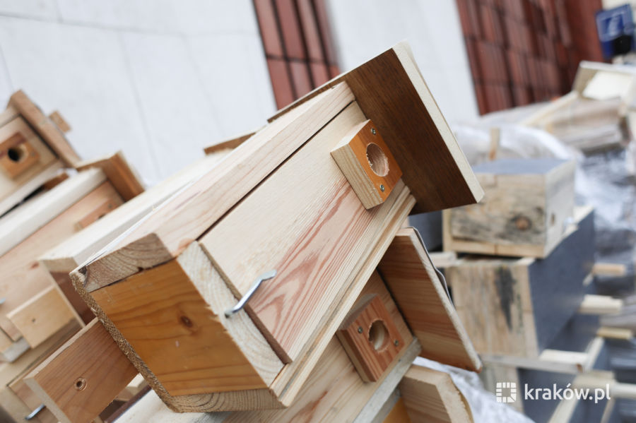 Zakochani dostaną budki lęgowe