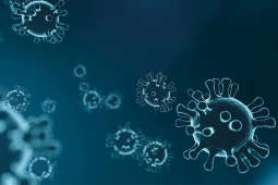 Miasto pomaga – sprawdź, jak uzyskać potrzebne wsparcie