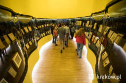 Tegoroczna Noc Muzeów odwołana