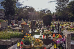 Porządkowanie grobów zostawmy na później