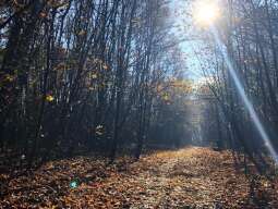 Miasto wykupi obszar Górki Pychowickiej