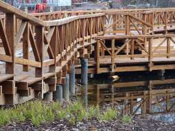 Odmienione otoczenie stawu w parku Duchackim