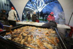 Przedświąteczny karp dla Krakowa