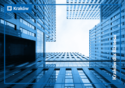 Kraków dla biznesu 2020 - okładka