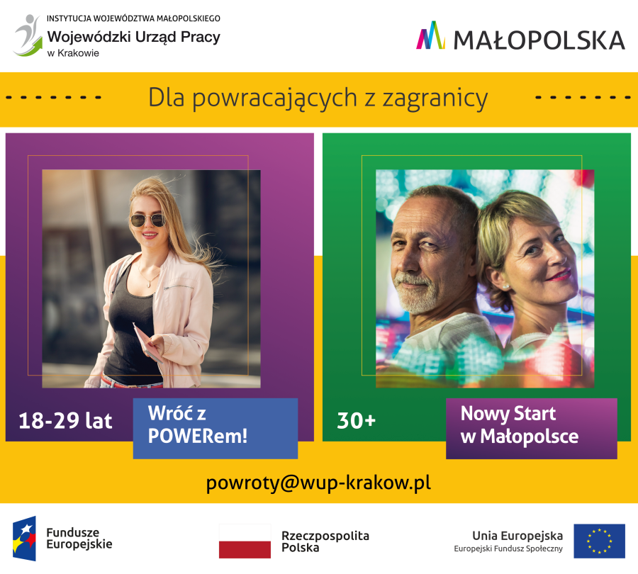 wojewódzki urząd pracy - programy