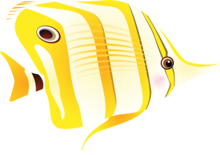 fishi