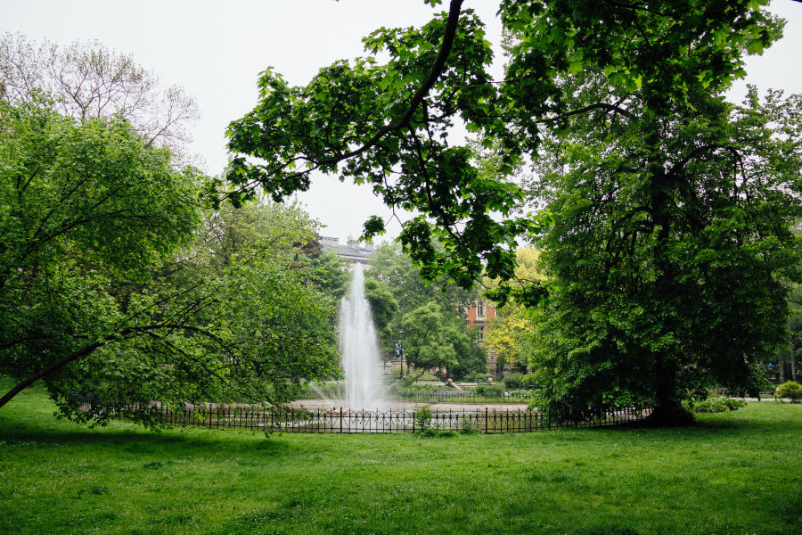 fontanna planty zieleń drzewa