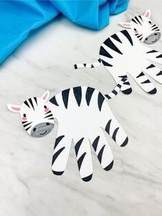 zebra obrazek