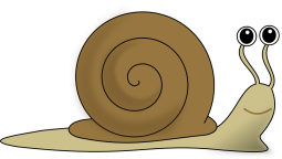 ślimak