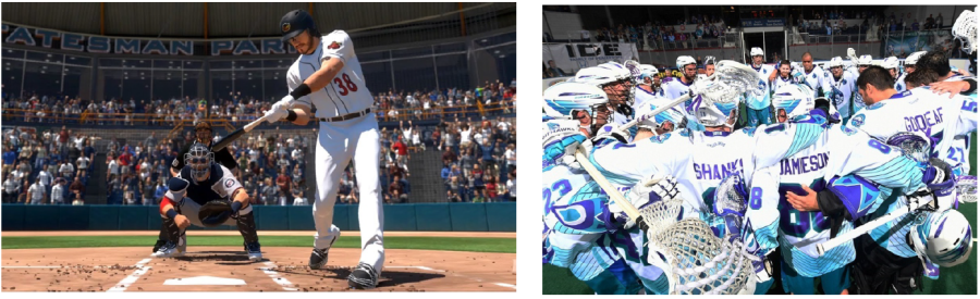 Rochester Red Wings and Rochester Knighthawks 