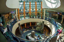 Urząd Miasta Krakowa zamknięty 4 czerwca