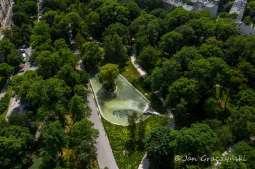 Weekend z ekologią – zdobądź wiedzę i… sadzonkę