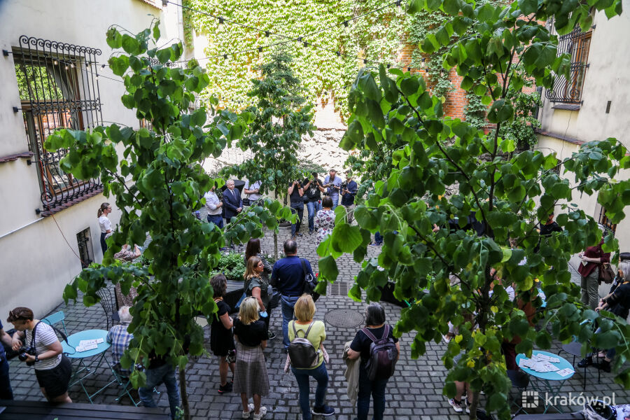 Zielony dziedziniec UMK dla wszystkich. Ogród społeczny już otwarty 