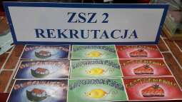 zsz2 1
