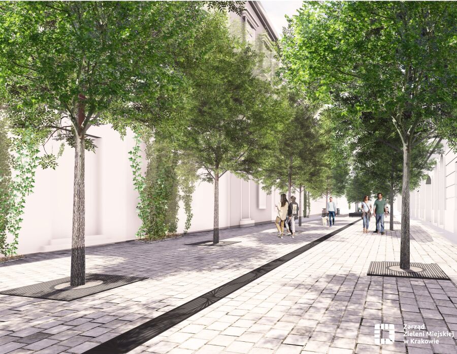 ulica Krupnicza wizualizacja 2