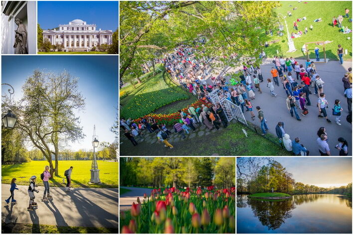 Kolaż zdjęć przedstawiających tereny parkowe i budowle pałacowe Centralnego Parku Kultury i Wypoczynku im. S.M. Kirowa na Wyspie Elagin w St. Petersburgu