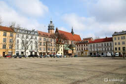 Klimatyczna przyszłość placu Wolnica