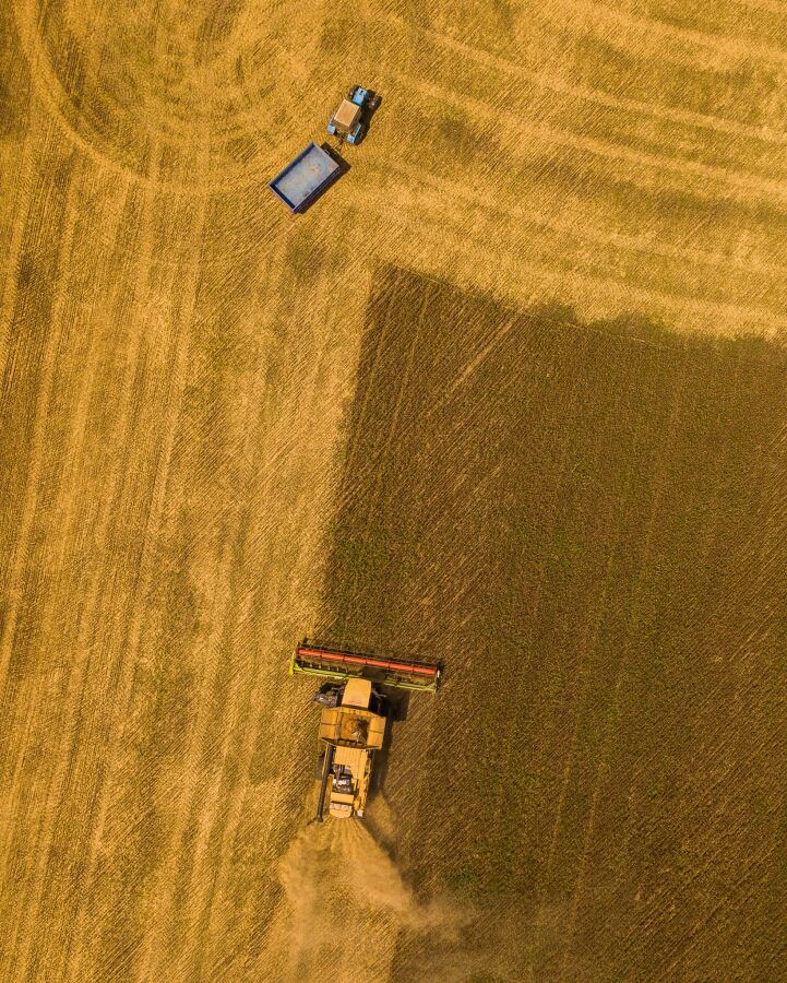 Widok z góry na pole. Kombajn kosi zborze 