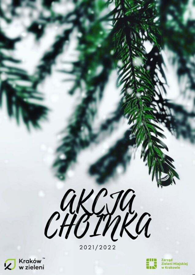 Akcja Choinka 2021/2022