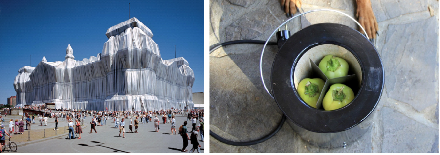 Ciekawostki związane z Bułgarią