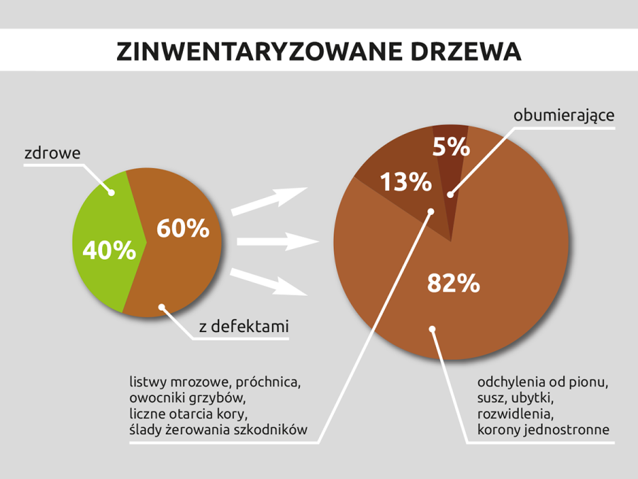 Zieleń inwentaryzacja grafika 