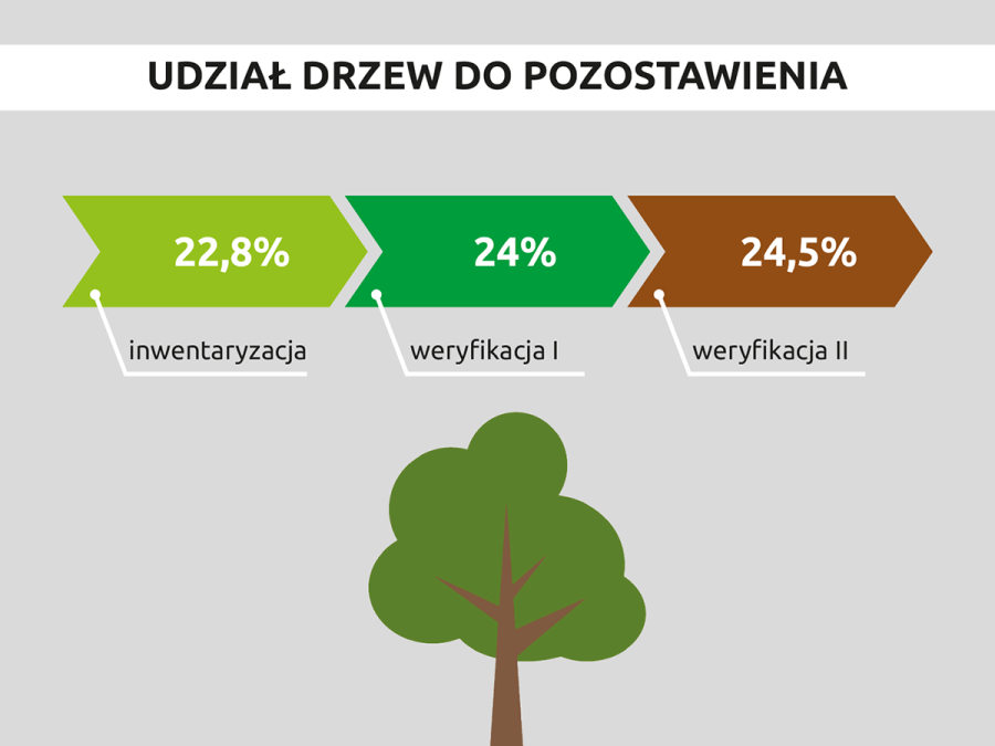 Zieleń inwentaryzacja grafika 2
