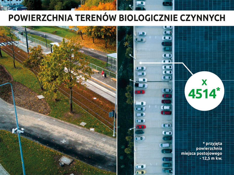 Zieleń inwentaryzacja grafika 4