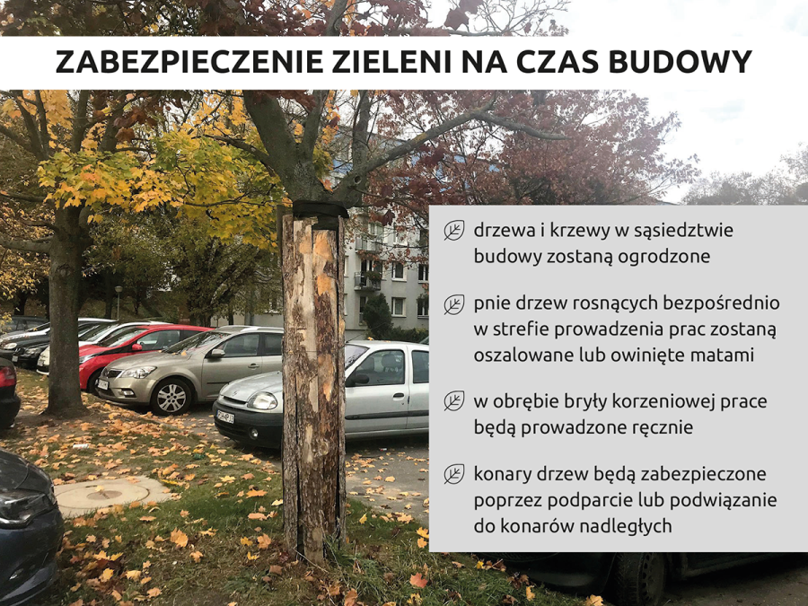 Zieleń inwentaryzacja grafika 5