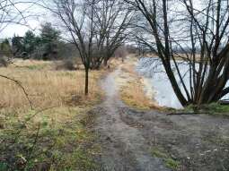 Otoczenie stawu Płaszowskiego będzie bardziej przyjazne 