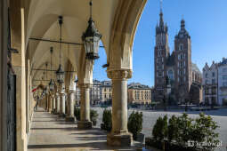 Aukcja na najem lokalu w Sukiennicach