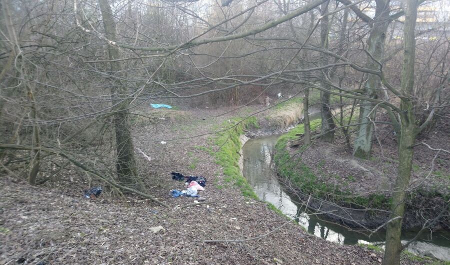 Straż miejska kontrole czystości