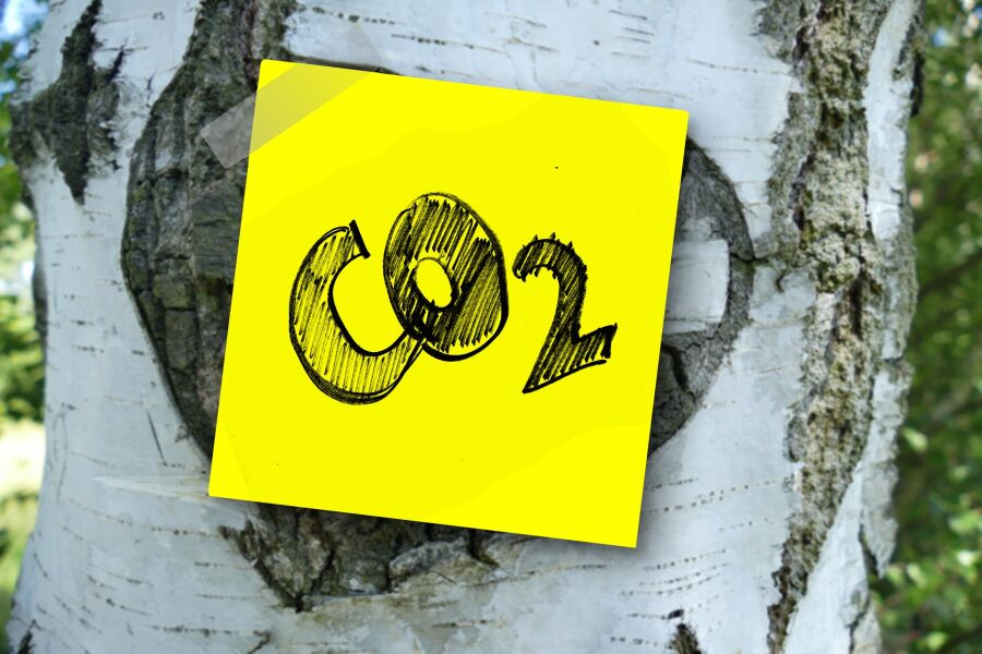 CO2, dwutlenek węgla, ekologia