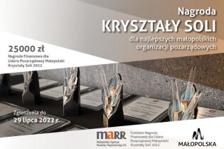 Plakat Kryształy Soli 2022, konkursu na najlepsze NGO. Fot. MARR