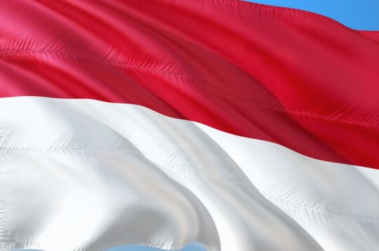 flag of Indonesia