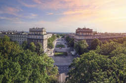 Więcej róż i nowe nasadzenia na alei Róż