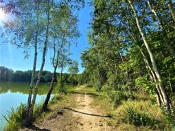 Do piątku trwa przetarg ws. nowego parku na północy Krakowa