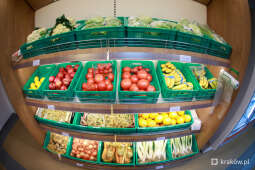 Pierwszy sklep socjalny już otwarty